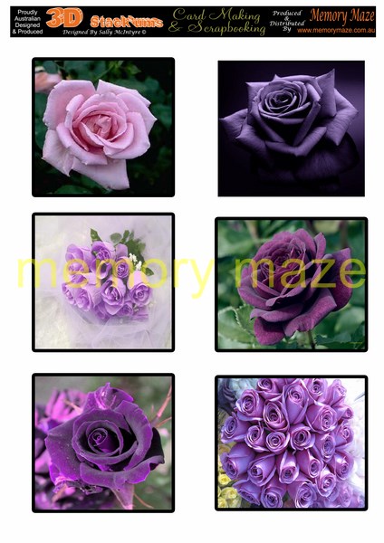 DS0717 purple roses   min buy 5 can be cut out with nested dies